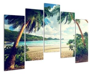 Kép - pálmafák, a tengerparton (125x90cm)