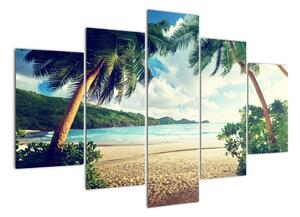 Kép - pálmafák, a tengerparton (150x105cm)