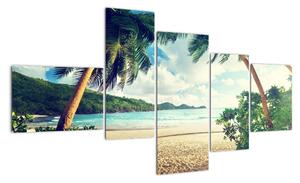 Kép - pálmafák, a tengerparton (150x85cm)
