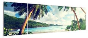 Kép - pálmafák, a tengerparton (170x50cm)