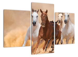Festmények - futó lovak (90x60cm)