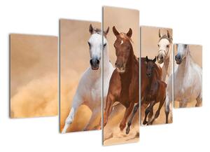Festmények - futó lovak (150x105cm)
