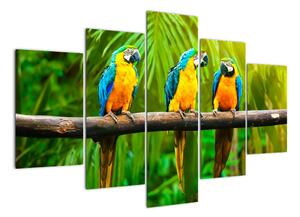 Modern kép - papagájok (150x105cm)