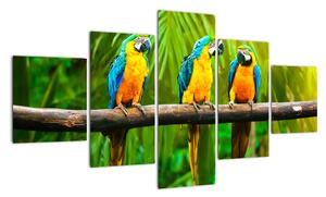 Modern kép - papagájok (125x70cm)