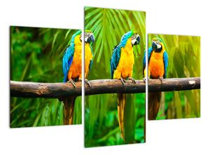 Modern kép - papagájok (90x60cm)