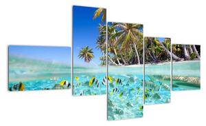 Kép - trópusi, tenger (150x85cm)