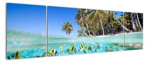 Kép - trópusi, tenger (170x50cm)