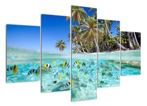 Kép - trópusi, tenger (150x105cm)