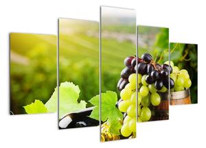 Kép - szőlő (150x105cm)