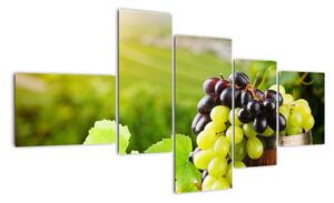 Kép - szőlő (150x85cm)