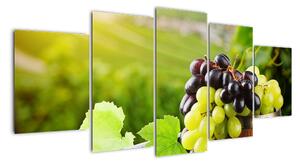 Kép - szőlő (150x70cm)