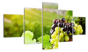 Kép - szőlő (125x70cm)