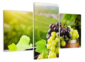 Kép - szőlő (90x60cm)
