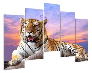 Kép - fekvő, tigris (125x90cm)