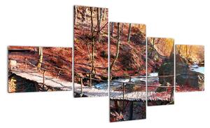 Kép - ősz, út, erdő (150x85cm)