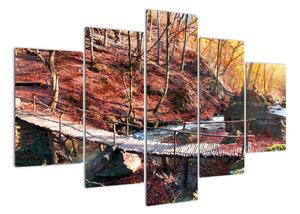 Kép - ősz, út, erdő (150x105cm)