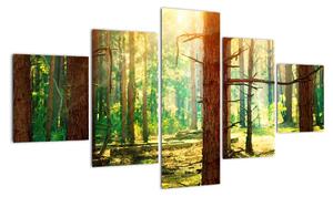 Modern képek - erdő (125x70cm)