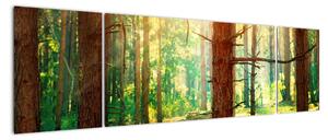 Modern képek - erdő (170x50cm)