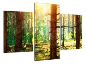 Modern képek - erdő (90x60cm)