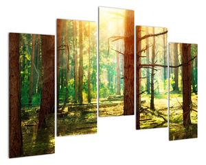 Modern képek - erdő (125x90cm)