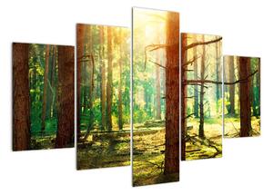 Modern képek - erdő (150x105cm)