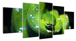 Az állatok képe - kígyó (150x70cm)