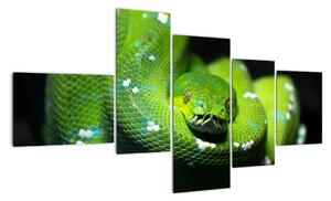 Az állatok képe - kígyó (150x85cm)