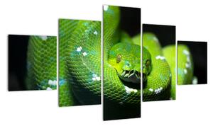 Az állatok képe - kígyó (125x70cm)