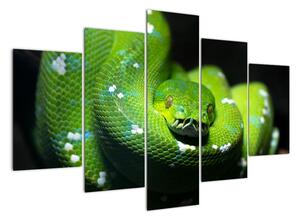 Az állatok képe - kígyó (150x105cm)