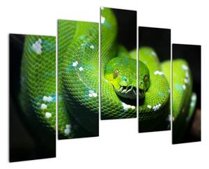 Az állatok képe - kígyó (125x90cm)