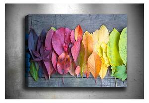 Autumn Palette kép, 100 x 70 cm - Tablo Center