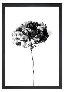 Poszter 24x29 cm Velvet Flower – Tablo Center