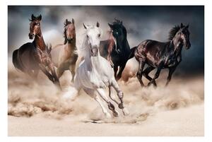 Kép HORSES 120x80 cm