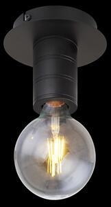 GLOBO HERMINE 54030-1D Mennyezeti lámpa