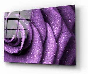 Purple Rose üvegezett kép - Insigne