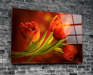 Tulips üvegezett kép - Insigne