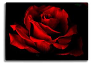 Red Rose üveg vágódeszka - Insigne