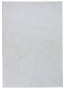 Szőnyeg KAWI Világosszürke 160 x 230 cm