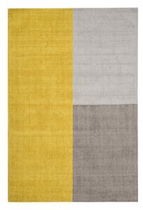 Blox sárga-szürke szőnyeg, 160 x 230 cm - Asiatic Carpets