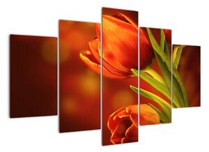 Modern kép - virágok (150x105cm)