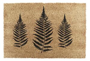 Kókuszrost lábtörlő 40x60 cm Fern Leaf – Artsy Doormats