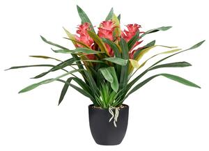 Műnövény GUZMANIA ATILLA 50 cm Zöld