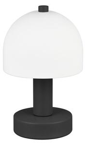 Fekete-fehér asztali lámpa üveg búrával (magasság 19 cm) Glenn – Trio