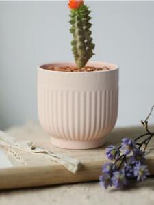 Sinsay - Virágcserép - pasztellpink