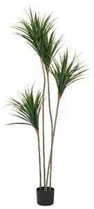 Műnövény DRACAENA DRACO 165 cm Zöld