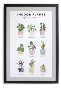 Indoor Plants keretezett fali kép, 30 x 40 cm - Really Nice Things