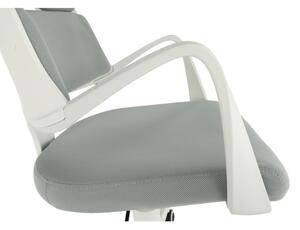 Irodai szék, világosszürke/fehér, VISAR