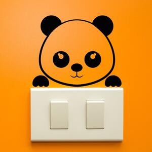 Panda Plug falmatrica - Ambiance