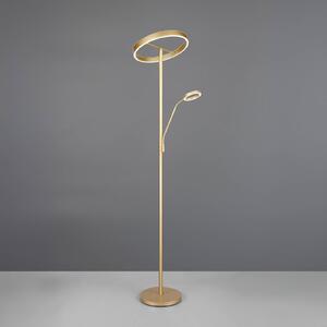 Trio Lighting Willis LED állólámpa, arany, 180 cm magas, fém, CCT, fényerőszabályzó,, dimmelhető, Sárgaréz / arany, Nappali / Étkező, fém, Modern