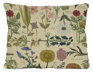 Botanic bézs virágmintás párna, 50 x 35 cm - Surdic
